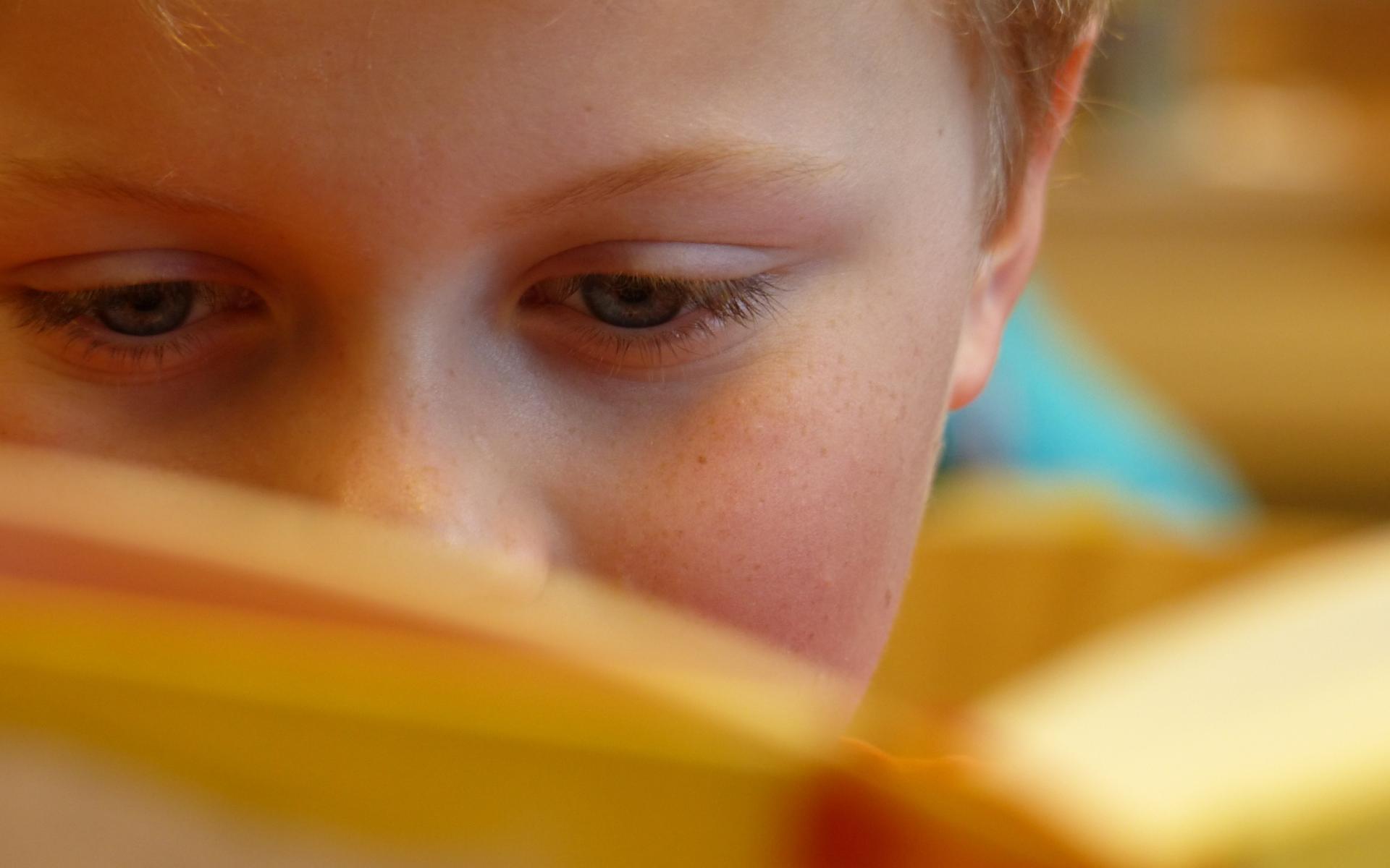 Symbolbild:Lesender Bub - Gesicht von vorne fotografiert ist halb mit einem Buch verdeckt